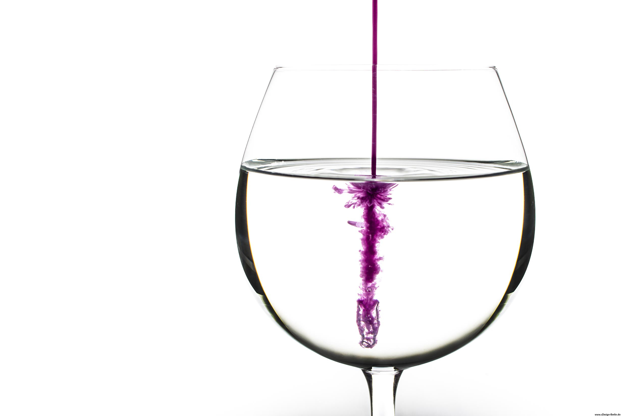 Bei diesem Bild handelt es sich um ein Weinglas, welches dreiviertel mit Wasser gefüllt wurde. Der Hintergrund ist weiß gehalten. Von oben kommt ein lila farbiger Strahl und dringt in das Wasser ein. Beim Eindringen, explodiert die Farbe in verschiedene Richtungen und entwickelt dabei ein eigenes Gebilde, in diesem Fall sieht es einer Blume ähnlich.(Studioaufnahme)